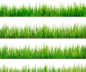 Realistic grass borders design vector 02