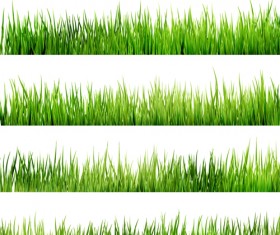 Realistic grass borders design vector 03