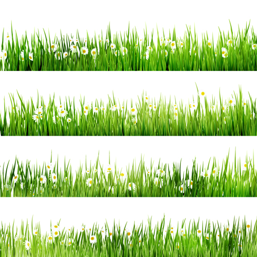 Realistic grass borders design vector 04