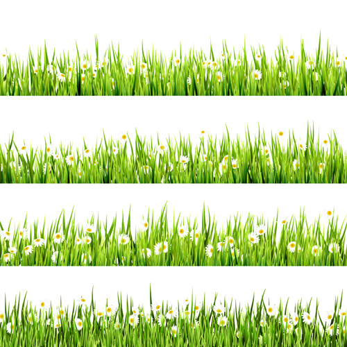 Realistic grass borders design vector 05