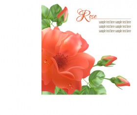 Realistic red rose background art