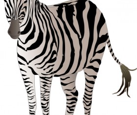 Realistic zebra vector free material