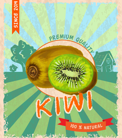 Retro grunge kiwi poster vector
