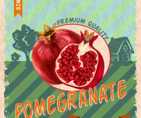 Retro grunge pomegranate poster vector