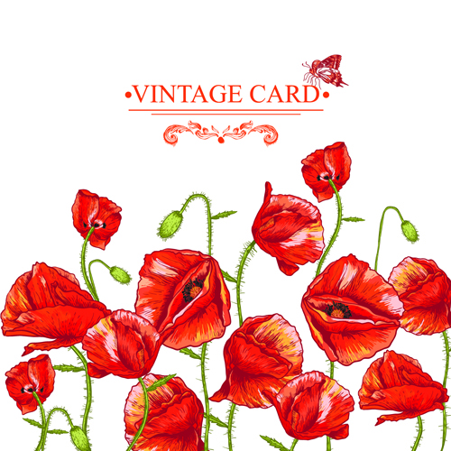 Retro red poppies cards vector graphics 01