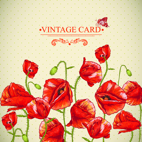 Retro red poppies cards vector graphics 04