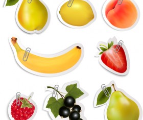 Shiny fruits sticker vector set graphics 02