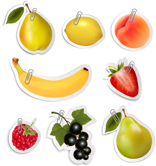 Shiny fruits sticker vector set graphics 02