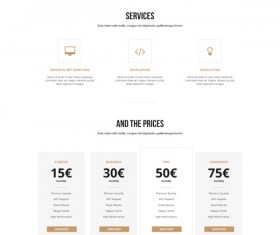 White and black business website template