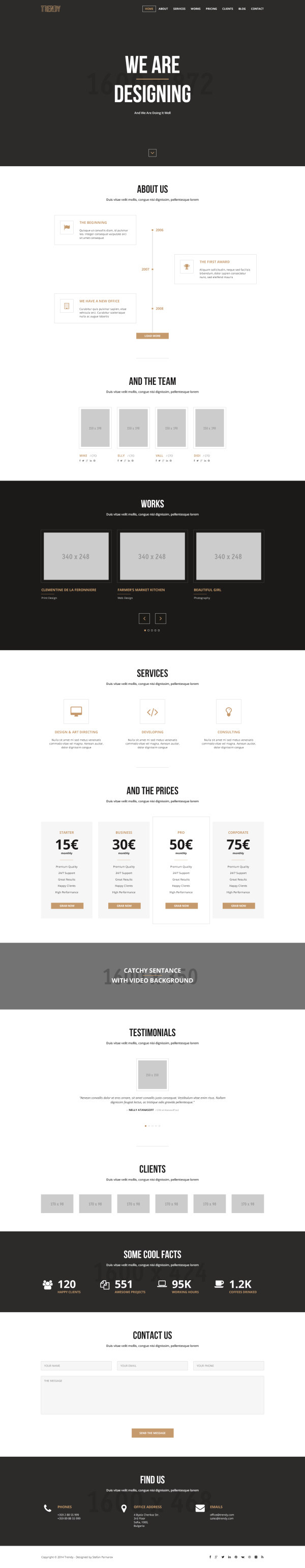 White and black business website template