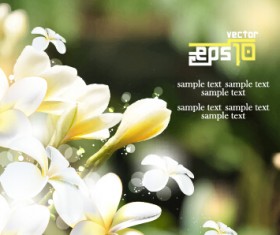 White flowers with blurred background vector