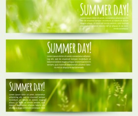 blurred green summer banner vector 02