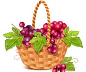 Basket and grapes design vector