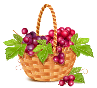 Basket and grapes design vector