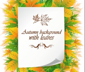 Beautiful autumn leaves with paper background 01