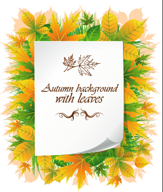 Beautiful autumn leaves with paper background 01