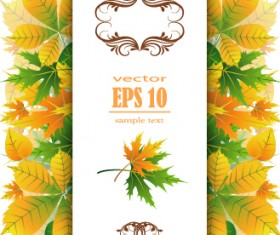 Beautiful autumn leaves with paper background 02