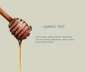 Bee honey dripping effect background vector 05