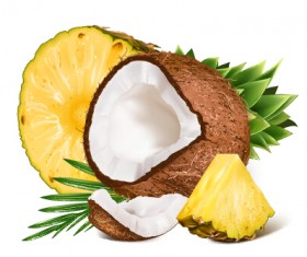 Copra and pineapple design vector