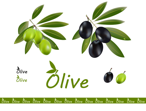 Delicate olives vector design material 04