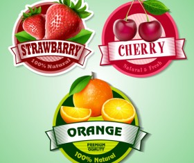 Fresh fruits labels shiny vector 01