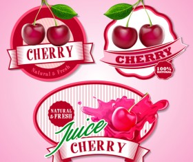 Fresh fruits labels shiny vector 05