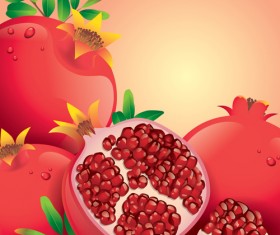 Fresh pomegranate vector background