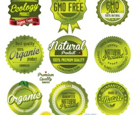 Green natural labels and badges vector