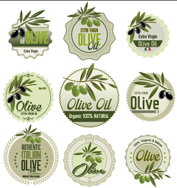 Green style olive oil badges vector 04