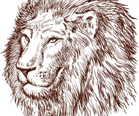 Hand drawing lion vector material 01