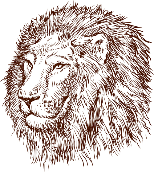 Hand drawing lion vector material 01