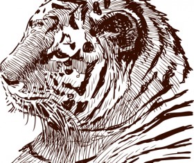 Hand drawing tiger vector material 02