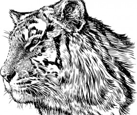 Hand drawing tiger vector material 03