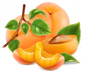 Juicy peach and green leaf vector material