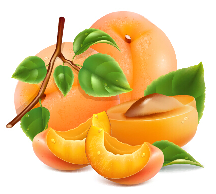 Juicy peach and green leaf vector material