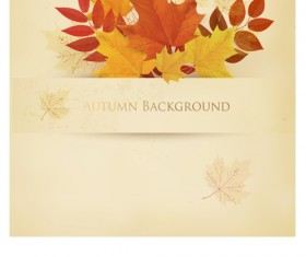 Leaf autumn creative background vector