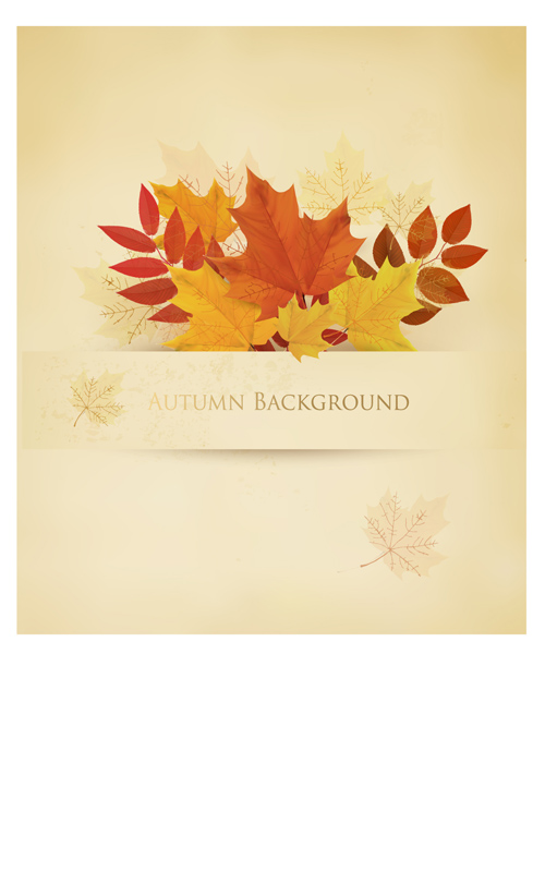 Leaf autumn creative background vector