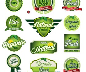 Qrnate floral pattern wedding invitations vector 01