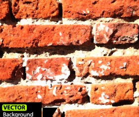 Old wall grunge background vector set 05