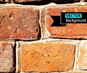 Old wall grunge background vector set 07