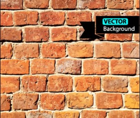 Old wall grunge background vector set 08