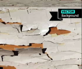 Old wall with crack background vector