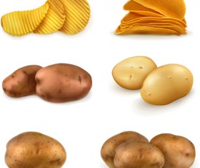 Potatoes and potato chips vector graphics