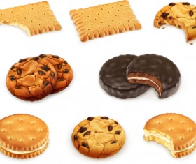 Realistic delicious cookies design vector