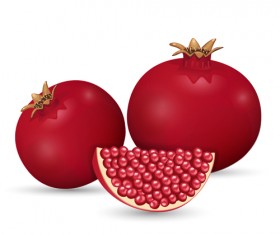 Realistic pomegranate design vector 02