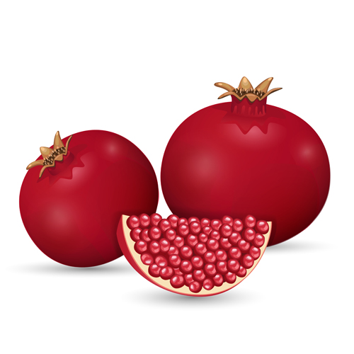 Realistic pomegranate design vector 02