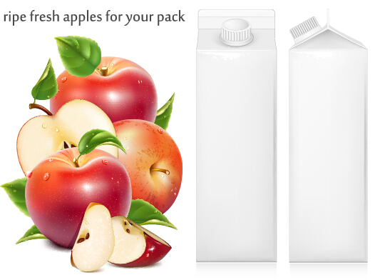 Ripe fresh apples with packing vector