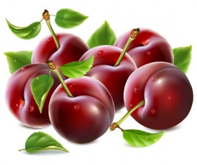 Ripe fresh cherry creative vector
