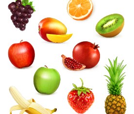 Fresh fruits labels shiny vector 01 free download