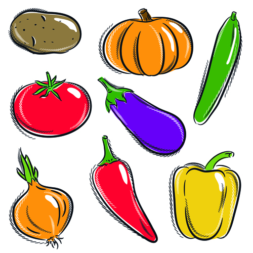 Colored pencil drawing vegetables - Stock Illustration [62476114] - PIXTA